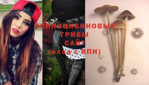 экстази Алексин