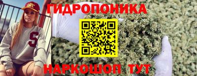 СК Краснокаменск