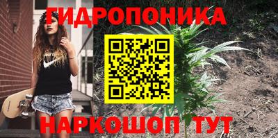 СК Краснокаменск
