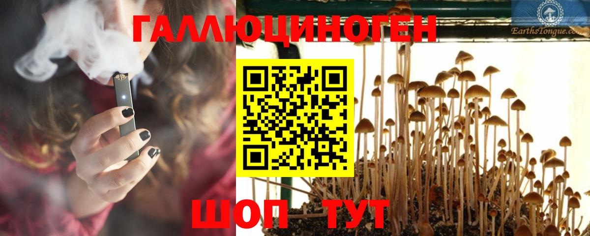 Галлюциногенные грибы Magic Shrooms  Вход с VPN  Рубцовск  Псилоцибиновые грибы Cubensis 