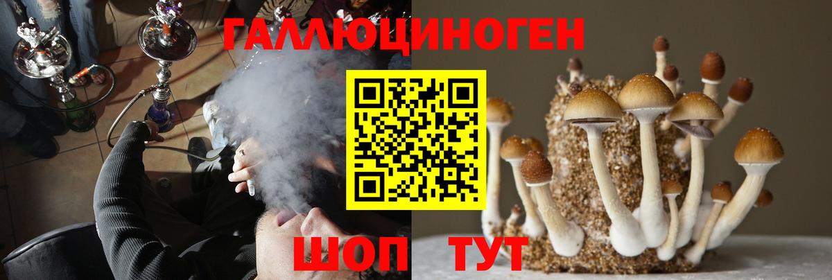 Псилоцибиновые грибы Psilocybine cubensis Рубцовск